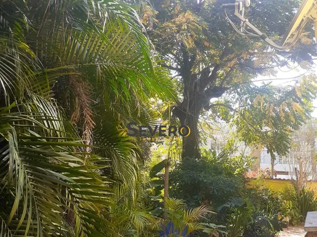 Imagem 6: Casa 4 quartos em Trindade