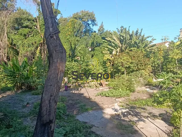 Imagem 13: Área Comercial, excelente para construção imobiliária