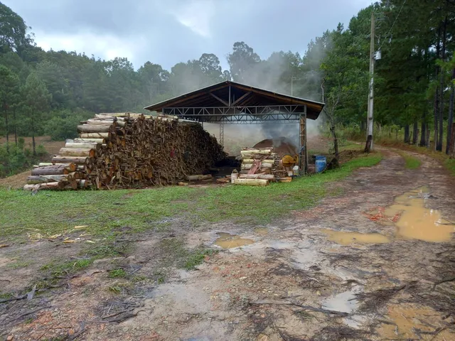 Imagem 8: Chácara à venda no bairro Centro - Quitandinha/PR