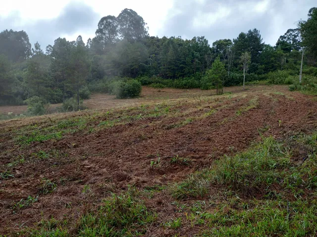 Imagem 3: Chácara à venda no bairro Centro - Quitandinha/PR