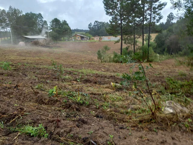 Imagem 7: Chácara à venda no bairro Centro - Quitandinha/PR