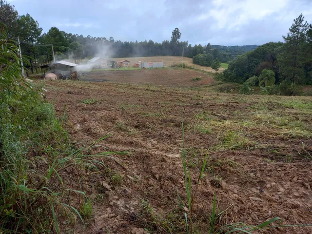 Imagem 11: Chácara à venda no bairro Centro - Quitandinha/PR