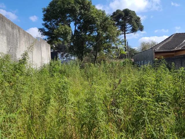 Imagem: Terreno à venda no bairro Santa Cândida