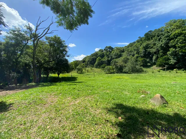 Imagem: Chácara 3,5 Hectares na BR-158