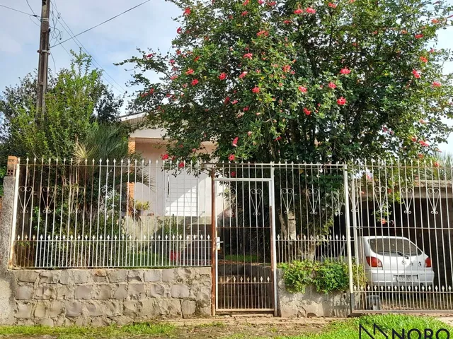 Imagem: Descubra o encanto da vida rural em Santa