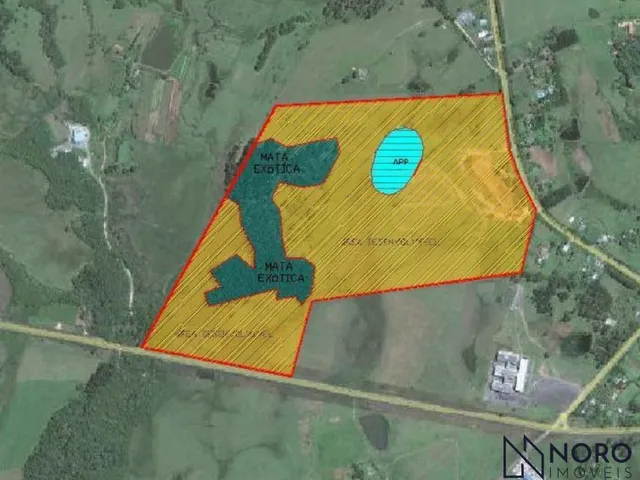 Imagem 2: Área Rural 30ha na BR-287 – Ideal para Sítio ou Investimento- Boca do Monte