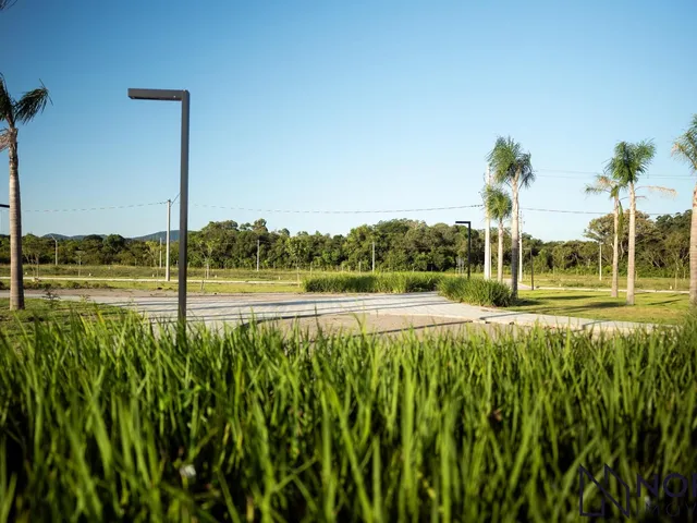 Imagem 6: Bairro Planejado - Terreno - Camobi - Arbo Village Park