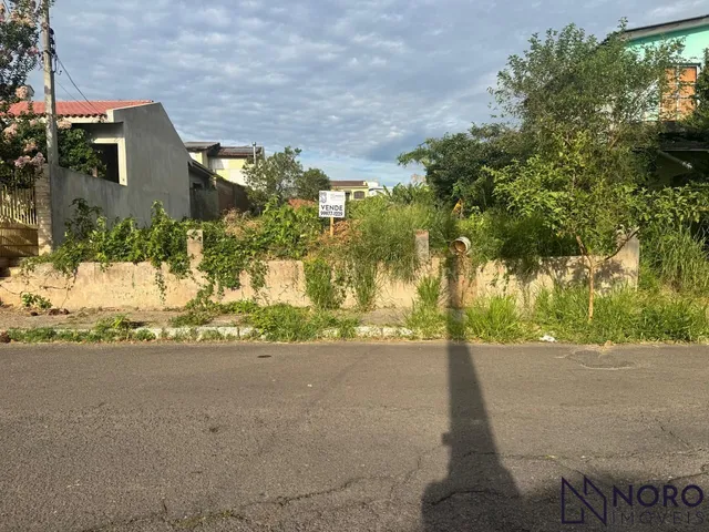 Imagem: Terreno - Nonoai - Frente Oeste - Regularizado