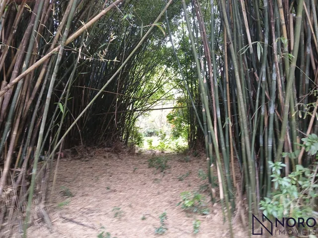 Imagem 1: Área - Cerrito - Sítio - Casa - Perto de Tudo