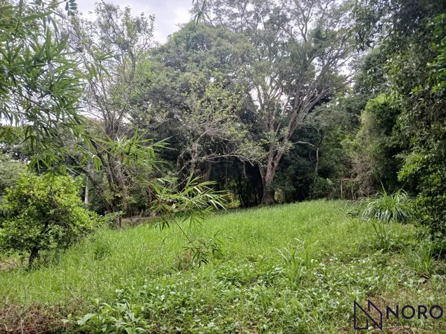 Imagem 3: Área - Cerrito - Sítio - Casa - Perto de Tudo