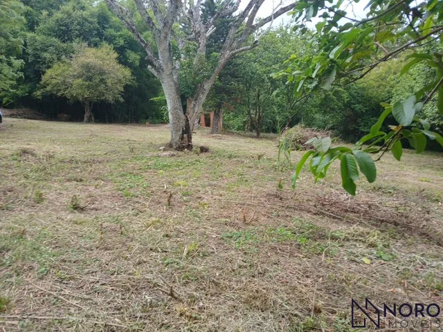 Imagem 6: Área - Cerrito - Sítio - Casa - Perto de Tudo