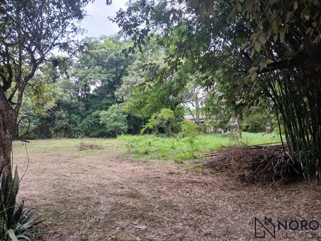 Imagem 2: Área - Cerrito - Sítio - Casa - Perto de Tudo