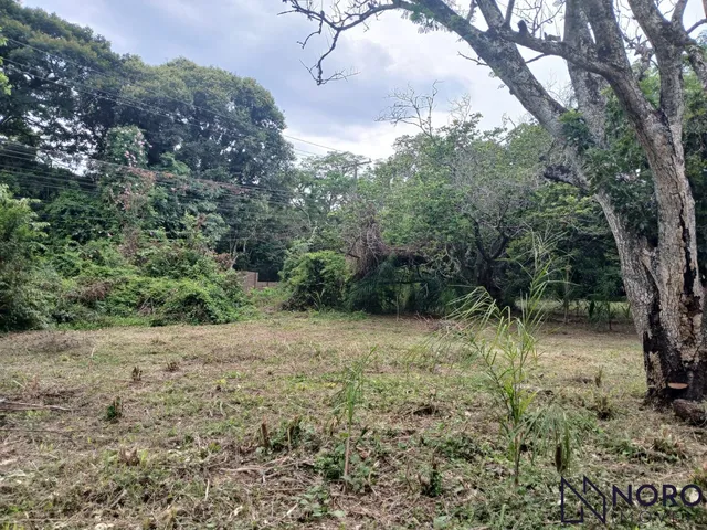 Imagem 5: Área - Cerrito - Sítio - Casa - Perto de Tudo