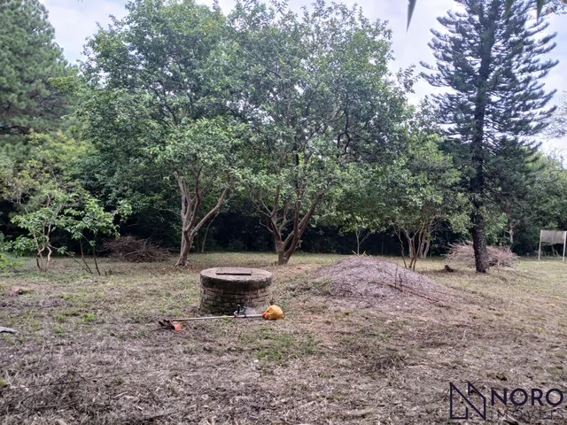 Imagem 4: Área - Cerrito - Sítio - Casa - Perto de Tudo