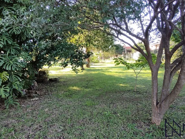 Imagem 11: Casa com terreno de 2.000 m² no Bairro Pinheiro Machado – Espaço, tranquilidade