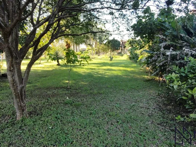 Imagem 4: Casa com terreno de 2.000 m² no Bairro Pinheiro Machado – Espaço, tranquilidade