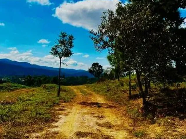 Imagem: Lote/Terreno para Venda Possui 1000M² em