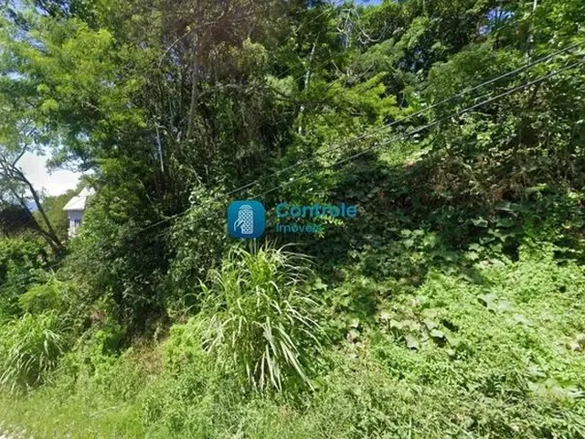 Imagem: Terreno no Bairro Ponta de Baixo, em São