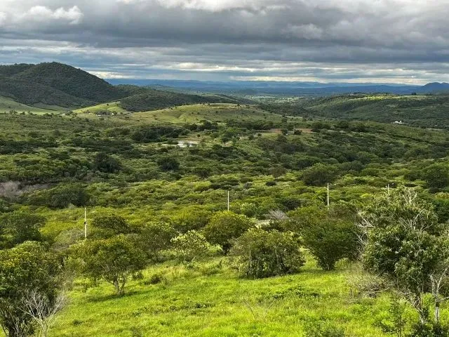 Imagem: Gravatá - Melhor Lote do Condomínio Reserva