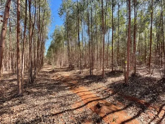 Imagem: Excelente Terreno Com12,5 Hectares em Itaúna/Mg