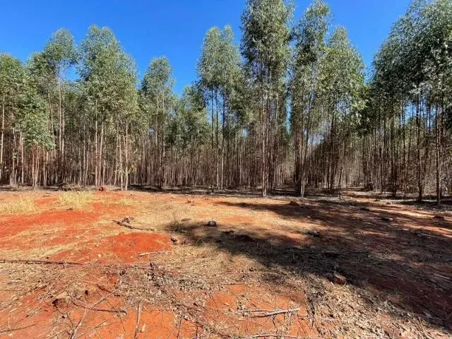 Imagem 3: Excelente Terreno Com12,5 Hectares em Itaúna/Mg