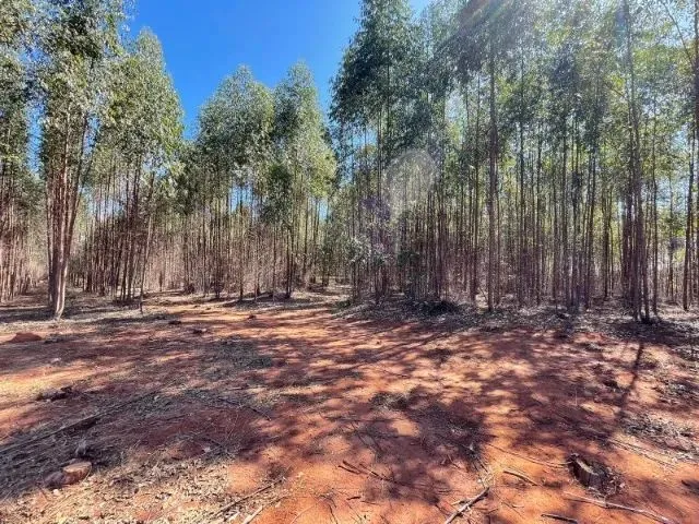 Imagem 5: Excelente Terreno Com12,5 Hectares em Itaúna/Mg