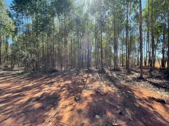 Imagem 6: Excelente Terreno Com12,5 Hectares em Itaúna/Mg