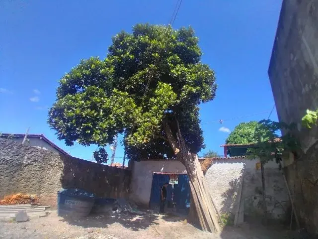 Imagem: Casa 500M2 - Oswaldo Cruz Ananindeua