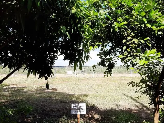Imagem: Terreno em Paulicéia Acesso Ao Rio