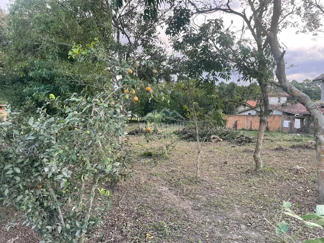 Imagem 5: TERRENO´À VENDA IBIRAQUERA 1.500m²