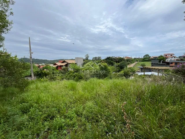 Imagem 3: Terreno à venda no bairro Praia do Rosa - Imbituba/SC