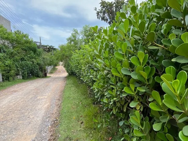 Imagem 6: Terreno à venda no bairro Praia do Rosa - Imbituba/SC