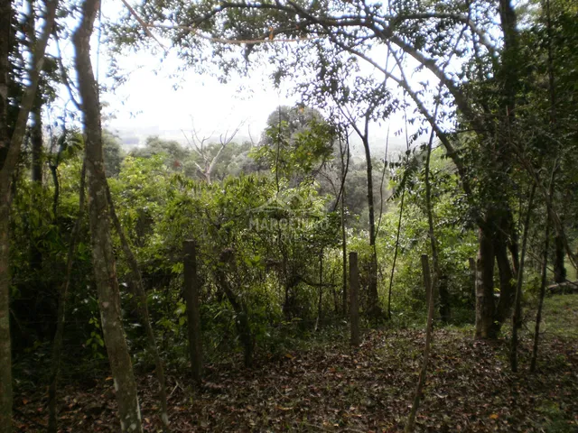Imagem 8: Terreno à venda no bairro Encantada - Garopaba/SC