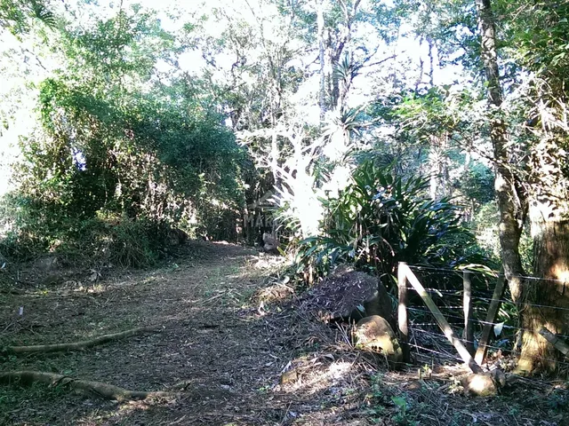 Imagem 6: Terreno à venda no bairro Encantada - Garopaba/SC
