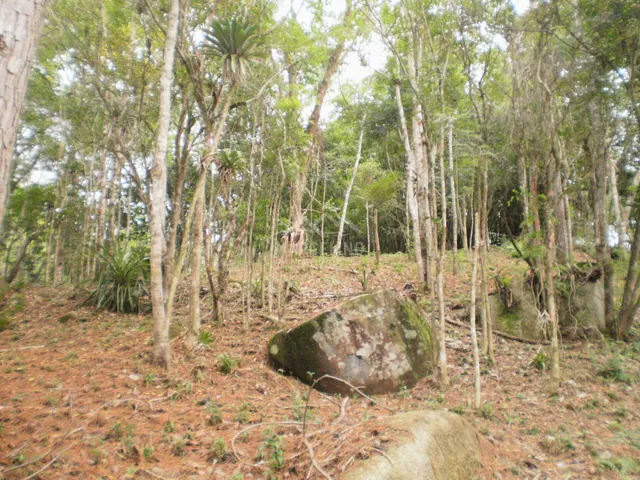 Imagem 2: Terreno à venda no bairro Encantada - Garopaba/SC