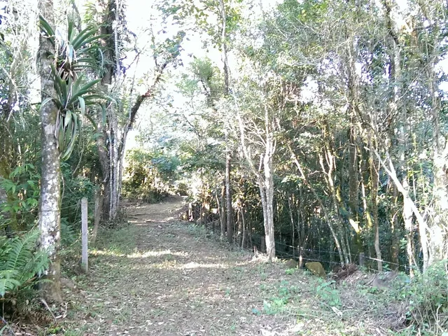 Imagem 7: Terreno à venda no bairro Encantada - Garopaba/SC