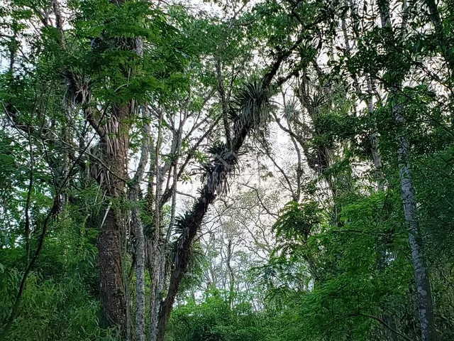 Imagem 9: Terreno à venda no bairro Encantada - Garopaba/SC