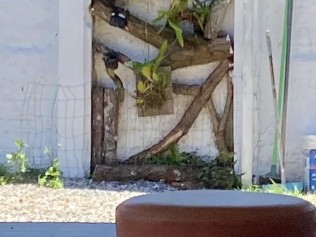 Imagem 7: Casa próximo a Lagoa - OPORTUNIDADE