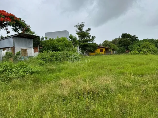 Imagem: Terreno á venda no Campo Duna