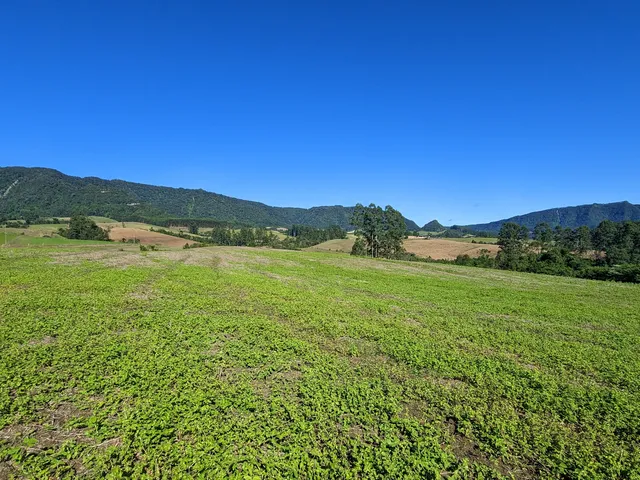 Imagem: Terreno Rural Rural em Petrolândia - Sc