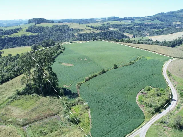 Imagem: Terreno rural a venda em - Petrolândia/SC