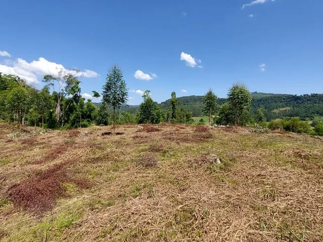 Imagem 2: Terreno à venda em Fundos Aurora - Aurora/SC, Rural