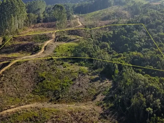 Imagem 5: Terreno à venda em Fundos Aurora - Aurora/SC, Rural