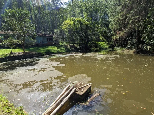 Imagem 6: Sítio à venda em - Rio do Oeste/SC