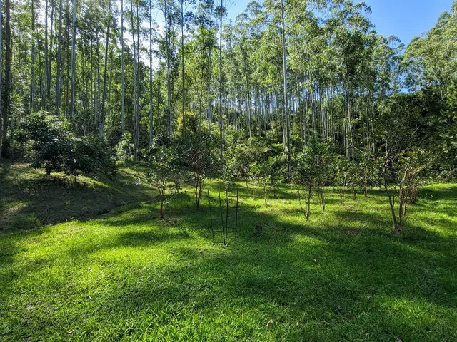Imagem 5: Sítio à venda em - Rio do Oeste/SC