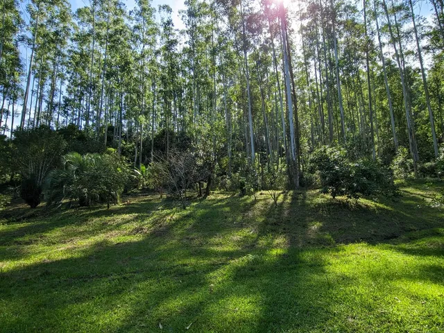 Imagem 10: Sítio à venda em - Rio do Oeste/SC