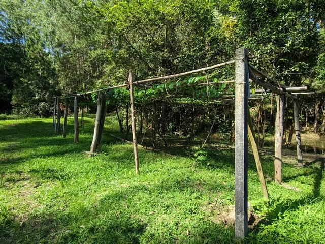 Imagem 11: Sítio à venda em - Rio do Oeste/SC