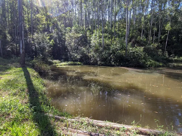 Imagem 13: Sítio à venda em - Rio do Oeste/SC