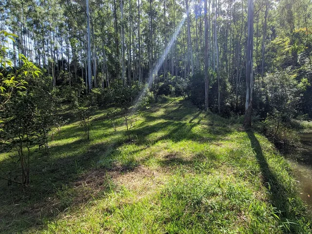 Imagem 12: Sítio à venda em - Rio do Oeste/SC