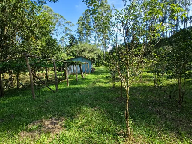 Imagem 16: Sítio à venda em - Rio do Oeste/SC
